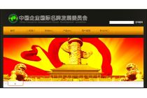 中國企業(yè)國際名牌發(fā)展委員會